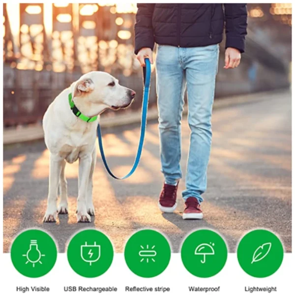 Collier Lumineux LED Rechargeable USB pour Chien 35 Collier Lumineux LED Rechargeable USB pour Chien - Bouledogue Avenue https://bouledogueavenue.com/wp-content/uploads/2026/08/Se8c8349e48ed4d5987e1eac04cf22a41c.webp