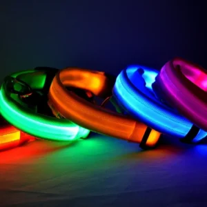 Laisse LED Lumineuse pour Sorties Nocturnes 42 Laisse LED Lumineuse pour Sorties Nocturnes – Image 20