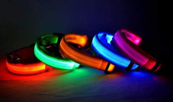 Laisse LED Lumineuse pour Sorties Nocturnes 19 Laisse LED Lumineuse pour Sorties Nocturnes - Bouledogue Avenue https://bouledogueavenue.com/wp-content/uploads/2026/08/S737c02cfd4b74daab2aaac83ec5a8407g.webp