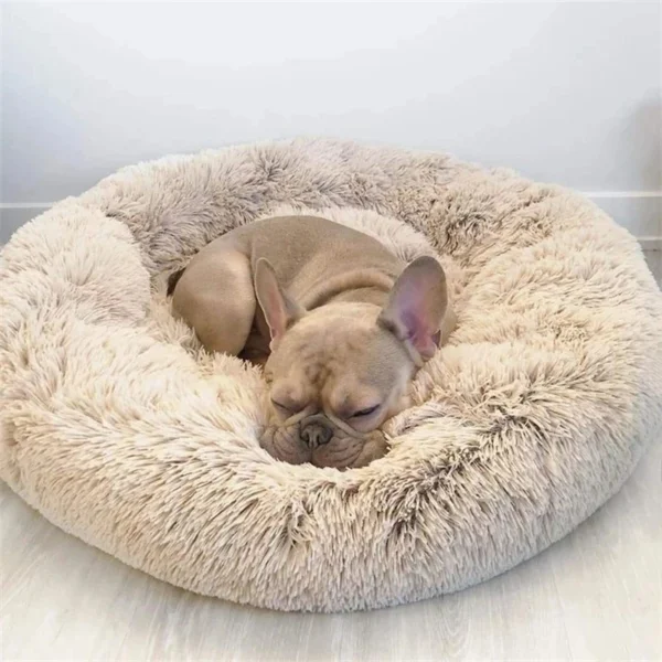 Lit Douillet en Forme de Donut pour Chien 31 Lit Douillet en Forme de Donut pour Chien - Bouledogue Avenue https://bouledogueavenue.com/wp-content/uploads/2026/08/Sc5c56035e85c4fa99f3532392f21954cH.webp