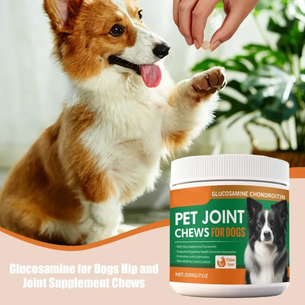 Complément Articulations pour Chien - 100 Comprimés à Croquer - Bouledogue Avenue https://bouledogueavenue.com/wp-content/uploads/2026/08/Sc6255c399be942af9d4b39f5f310914d7.webp