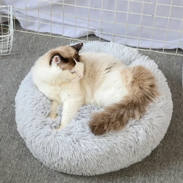 Lit Douillet en Forme de Donut pour Chien 34 Lit Douillet en Forme de Donut pour Chien - Bouledogue Avenue https://bouledogueavenue.com/wp-content/uploads/2026/08/Sc5c56035e85c4fa99f3532392f21954cH.webp