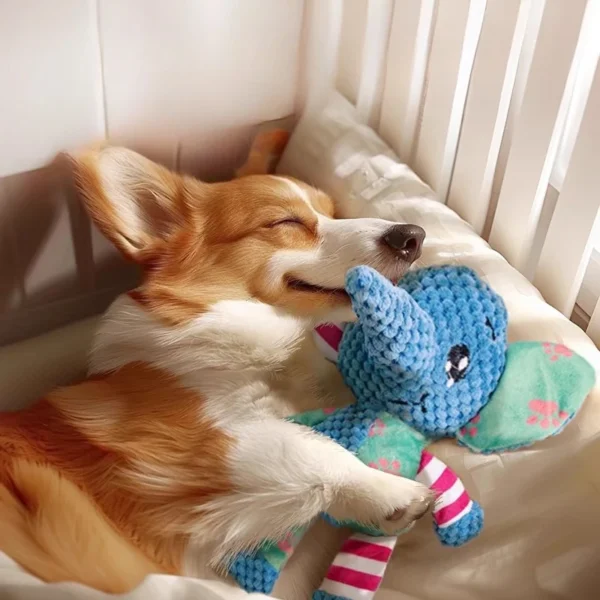 Peluche Résistante et Couinante pour Chien 1 Peluche Résistante et Couinante pour Chien - Bouledogue Avenue https://bouledogueavenue.com/wp-content/uploads/2026/08/S107a1dca1dd3444e83cd5126ec6d8035E.webp