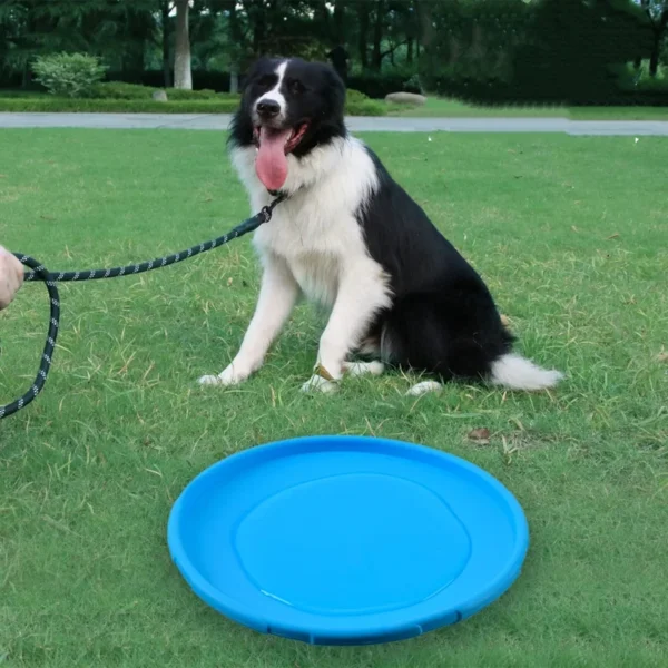 Frisbee en Silicone Souple et Résistant pour Chien 3 Frisbee en Silicone Souple et Résistant pour Chien - Bouledogue Avenue https://bouledogueavenue.com/wp-content/uploads/2026/08/S608878bf93b94a8d8b37122288f11807Y.webp