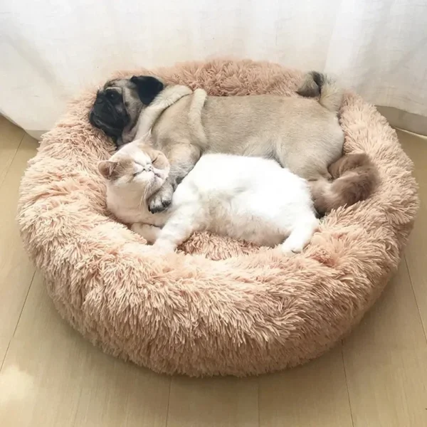 Lit Douillet en Forme de Donut pour Chien 3 Lit Douillet en Forme de Donut pour Chien - Bouledogue Avenue https://bouledogueavenue.com/wp-content/uploads/2026/08/Sc5c56035e85c4fa99f3532392f21954cH.webp