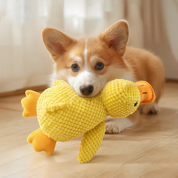 Jouet à Mâcher Résistant avec Couinement pour Chien - Bouledogue Avenue https://bouledogueavenue.com/wp-content/uploads/2026/08/S482b0daf072c4967967f8c2141a22e4aM.webp