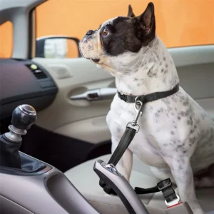 Harnais Ceinture de Sécurité Réfléchissant pour Voiture – Image 31