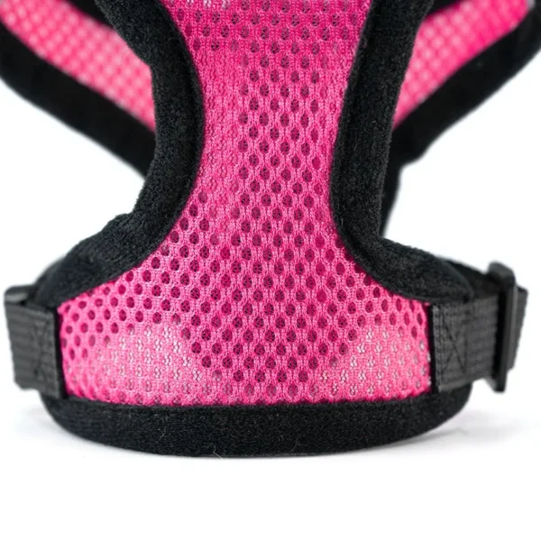 Laisse et Collier en Polyester Réglable pour Chien - Bouledogue Avenue https://bouledogueavenue.com/wp-content/uploads/2026/08/S98c1894665d34252af67ee2abb9ba34eX.webp