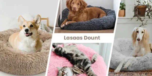 Lit Douillet en Forme de Donut pour Chien 37 Lit Douillet en Forme de Donut pour Chien - Bouledogue Avenue https://bouledogueavenue.com/wp-content/uploads/2026/08/Sc5c56035e85c4fa99f3532392f21954cH.webp