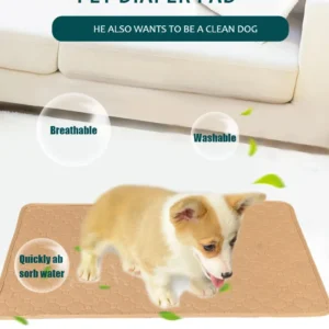 Tapis Absorbant Lavable pour Chien - Éducation Propreté – Image 22