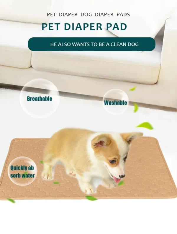 Tapis Absorbant Lavable pour Chien - Éducation Propreté - Bouledogue Avenue https://bouledogueavenue.com/wp-content/uploads/2026/08/S4d89cec7a470447393f3ef45459c1354d.webp