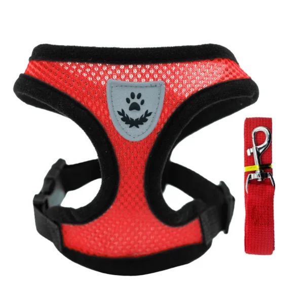 Laisse et Collier en Polyester Réglable pour Chien - Bouledogue Avenue https://bouledogueavenue.com/wp-content/uploads/2026/08/S98c1894665d34252af67ee2abb9ba34eX.webp