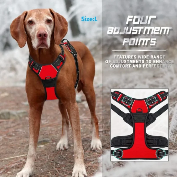 Harnais Anti-Traction Confortable pour Chien 2 Harnais Anti-Traction Confortable pour Chien - Bouledogue Avenue https://bouledogueavenue.com/wp-content/uploads/2026/08/S309991a40dd04640a1084c86e1a73d37F.webp