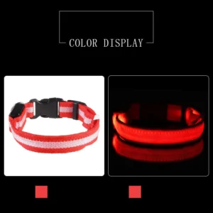 Laisse LED Lumineuse pour Sorties Nocturnes 40 Laisse LED Lumineuse pour Sorties Nocturnes – Image 18