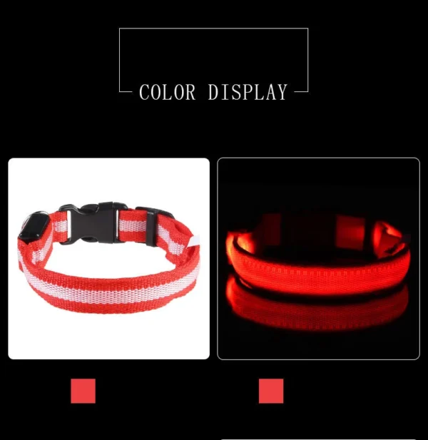 Laisse LED Lumineuse pour Sorties Nocturnes 17 Laisse LED Lumineuse pour Sorties Nocturnes - Bouledogue Avenue https://bouledogueavenue.com/wp-content/uploads/2026/08/S737c02cfd4b74daab2aaac83ec5a8407g.webp