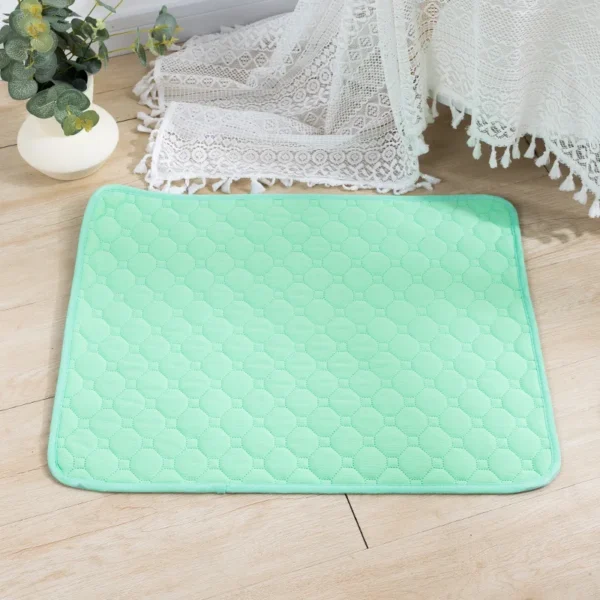 Tapis Absorbant Lavable pour Chien - Éducation Propreté - Bouledogue Avenue https://bouledogueavenue.com/wp-content/uploads/2026/08/S4d89cec7a470447393f3ef45459c1354d.webp