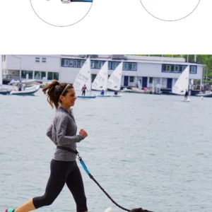 Laisse Mains Libres avec Ceinture Ajustable pour Chien – Image 11