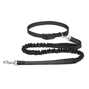 Laisse Mains Libres avec Ceinture Ajustable pour Chien – Image 7