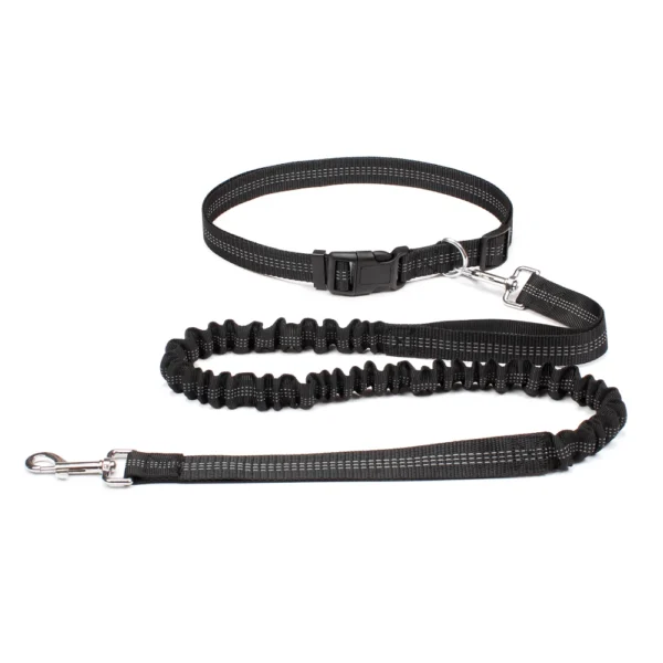 Laisse Mains Libres avec Ceinture Ajustable pour Chien - Bouledogue Avenue https://bouledogueavenue.com/wp-content/uploads/2026/08/S0e92f788fe5f456d9b450d036d9dfc63L.webp